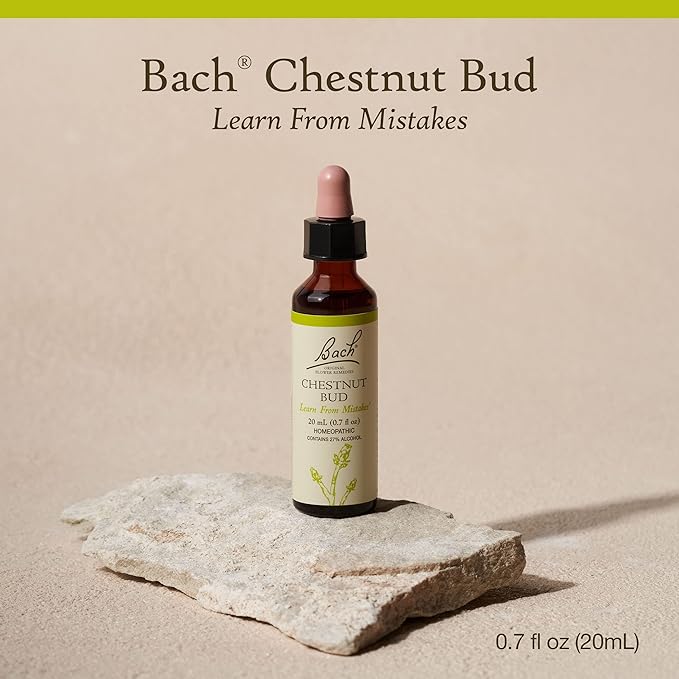 Bach Original Flower Remedies, Chestnut Bud - Learn from Mistakes - Natural Homeopathic Flower Essence for Emotional Balance - Vegan, Gluten Free, Sugar Free - 20mL Dropper