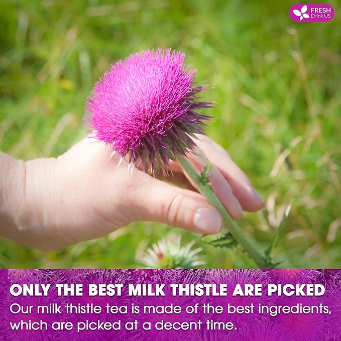 FreshDrinkUS, Premium 75 Milk Thistle Tea Bags, 100% Natural & Pure from Milk Thistle Seeds. Milk Thistle Seed Herbal Tea. Made with Natural Material Tea Bags. No Sugar, No Caffeine, No Gluten, Vegan.