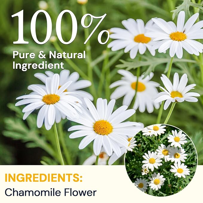 Chamomile Tea Bags 100 Count, Chamomile Flower Herbal Tea with Sugar-Free, Caffeine-Free