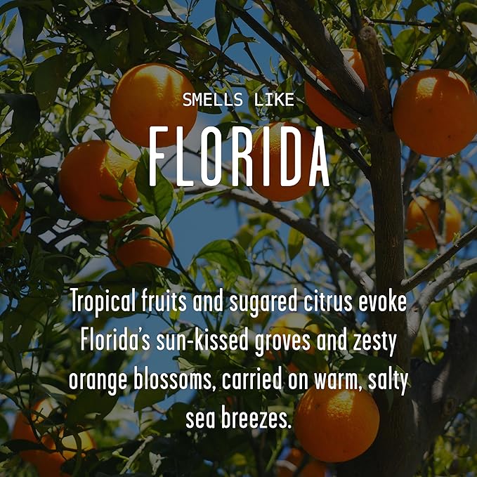 Florida Gifts, Florida Decor for Home - 'There's No Place Like Florida Candle, w/Tropical Fruits & Sugared Citrus I Florida Souvenirs I Florida State Gifts I 9oz Jar, 50Hr Burn, USA Made