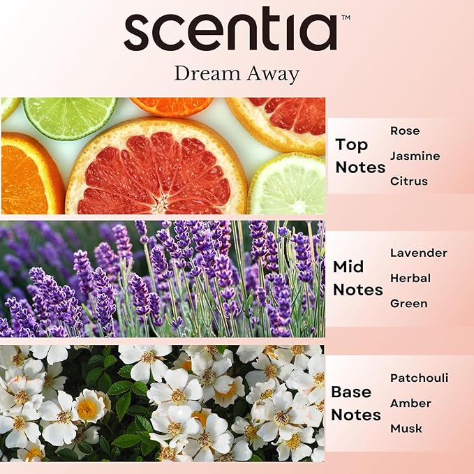 Scentia Fragrance Oil Blend, Inspired by Iconic Perfume, Home Luxury Scents, Essential Oil Blend for Aromatherapy Diﬀusers, Humidifiers & Candle Making -Dream Away 20ml, 0.67 Fl Oz, Thanksgiving Gift