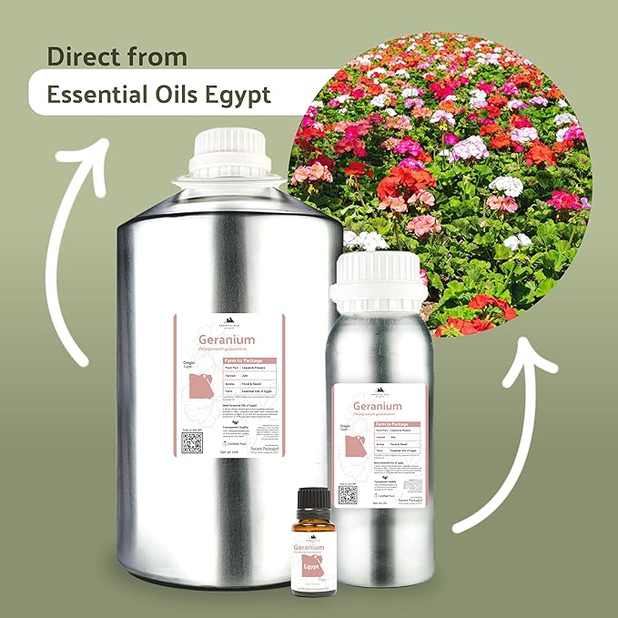 Geranium Essential Oil - Direct from Egypt Nile Delta - Pure Essential Oils for Body, Skincare & Balance - Natural Aceite de Geranio - 100% Pure Therapeutic Grade (15ml)