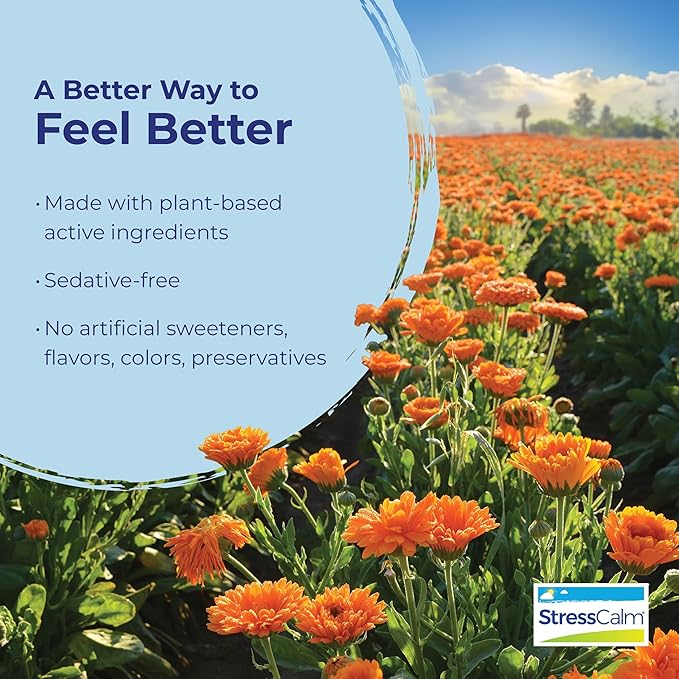 Boiron StressCalm Tablets for Relief of Stress, Anxiousness, Nervousness, Irritability, and Fatigue - 60 Count