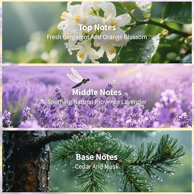 Reed Diffusers Set Lavender Scent, 7.10 oz Diffusers for Home with 7 Diffuser Sticks, Reed Diffuser for 120 Days, Perfect for Bathroom, Shelf Decor, Air Fresheners
