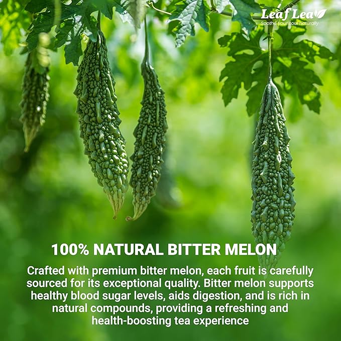 LeafLea Natural Bitter Melon Tea Bags, 40 Cundeamor Herbal Tea Bags – Melon Amargo Gohyah Fruit Tea | Wellness & Digestion Support | Caffeine-Free, Non-GMO, Sugar-Free, Vegan