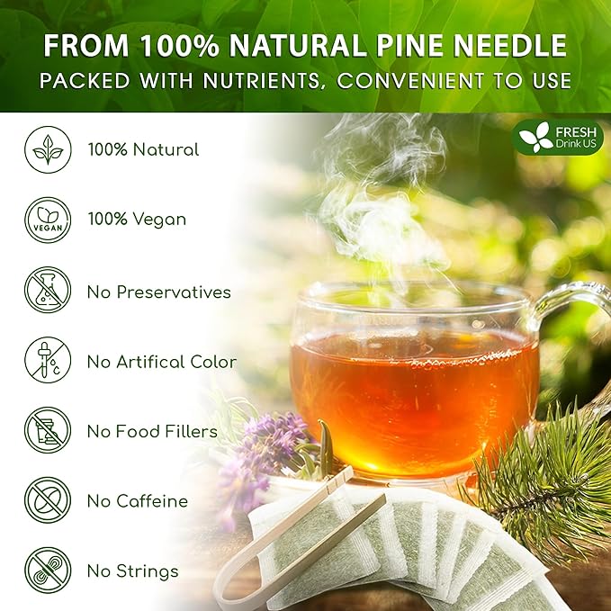 FreshDrinkUS, Pine Needle Tea Bags – 75 Tea Bags, Naturally Caffeine-Free, Refreshing Herbal Tea, Wild-Harvested Pine Leaves, Aromatic and Soothing – Non-GMO & Eco-Friendly Packaging