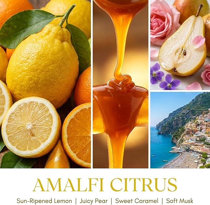HomeLights 1-Wick Candles for Home Scented - 6.7oz Soy Wax Blend Candle Long-Lasting Fragrance, Eclectic Mixed Styles Home Decor and Housewarming Gifts, Amalfi Citrus