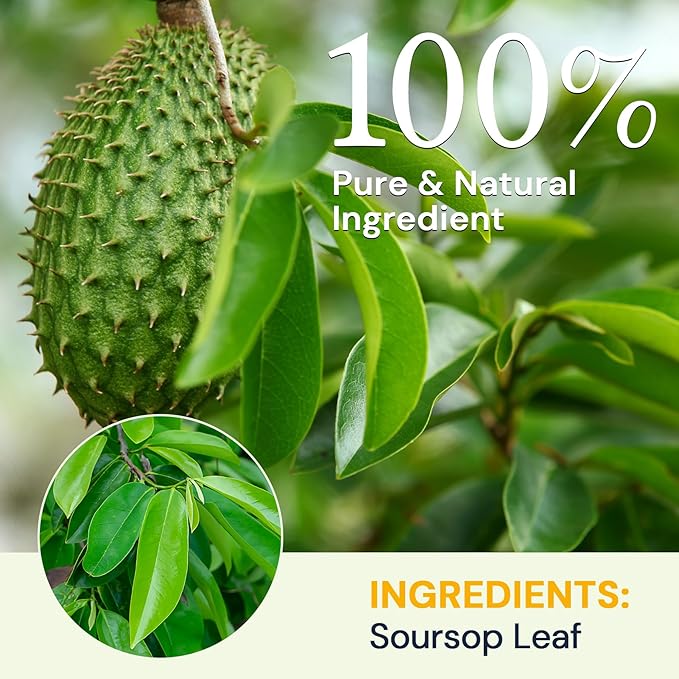 Soursop Leaf Herbal Tea (Graviola) - Caffeine & Sugar Free, 80 Teabags