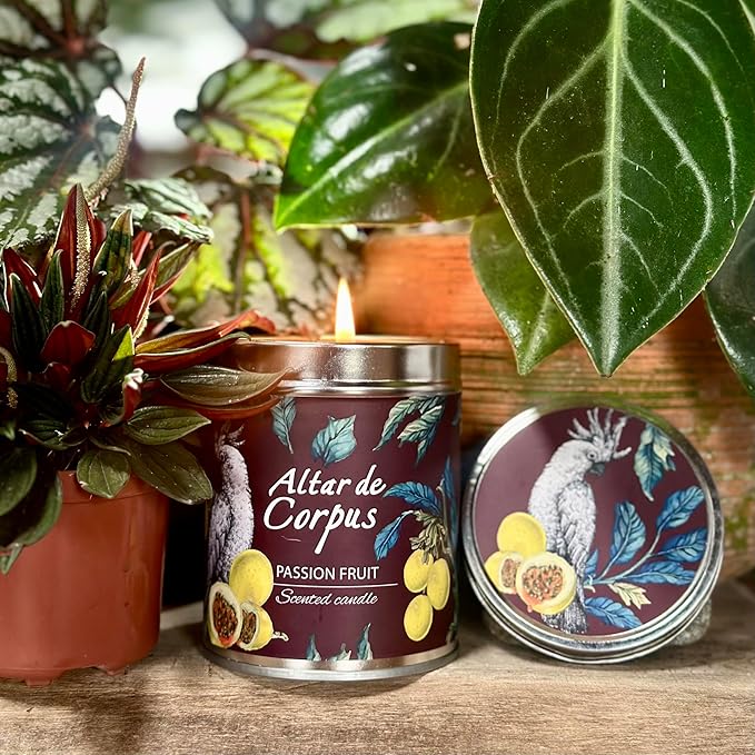 14 Oz Strong Scented Candles Long Lasting – Passion Fruit Candle - High End Luxury Candles for Home - Cute Candles for Women - Soy Wax Premium Blend - Decorative Candle for Men Gifts
