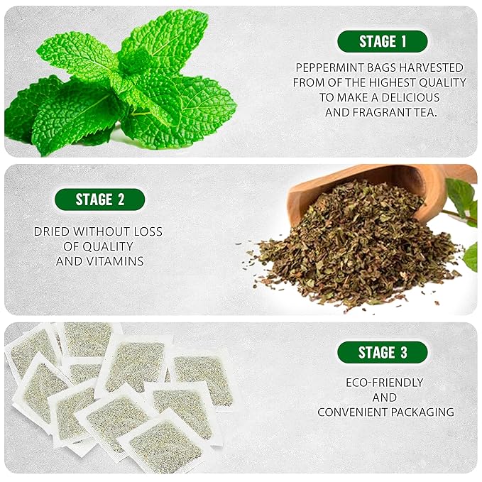 TeaDreamTea Peppermint Herbal Tea - Mint Tea Bags - Alleviates Digestive Discomfort | Caffeine Free, Bulk (400 Teabags)