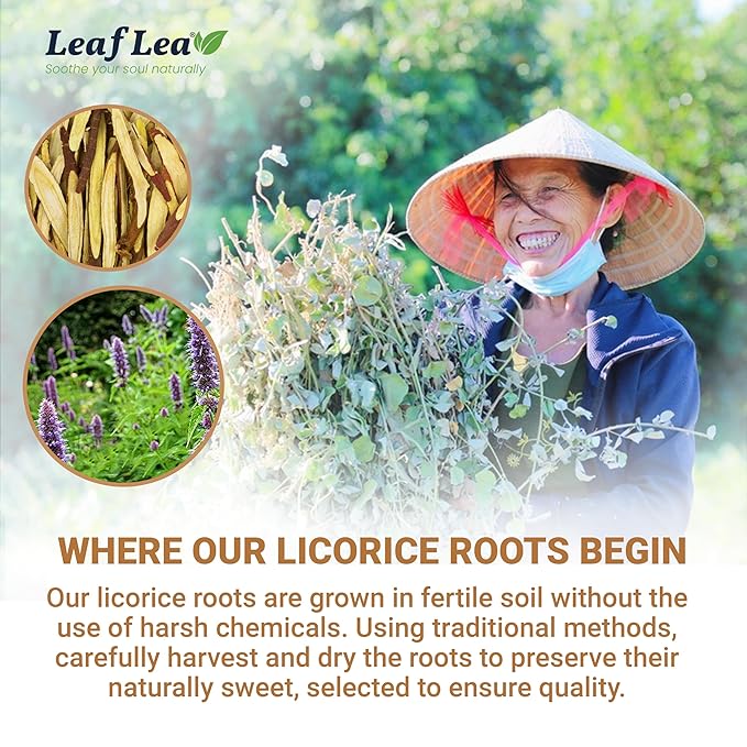 LeafLea 80 Licorice Root Tea Bags, Pure Licorice Spice Tea, Naturally Sweet, Te De Regaliz Herbal Gently Supports Relaxation and Digestive Comfort, Nutrient-Rich, Vegan, Sugar- free, Caffeine Free