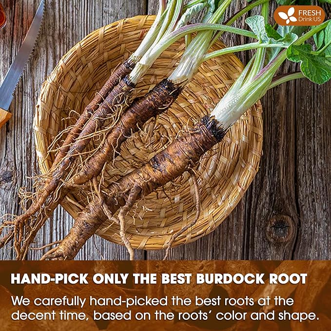 FreshDrinkUS, Premium 120 Burdock Root Tea Bags, 100% Natural & Pure, Herbal Tea. Made with Natural Material Tea Bags. No Sugar, No Caffeine, No Gluten, Vegan.