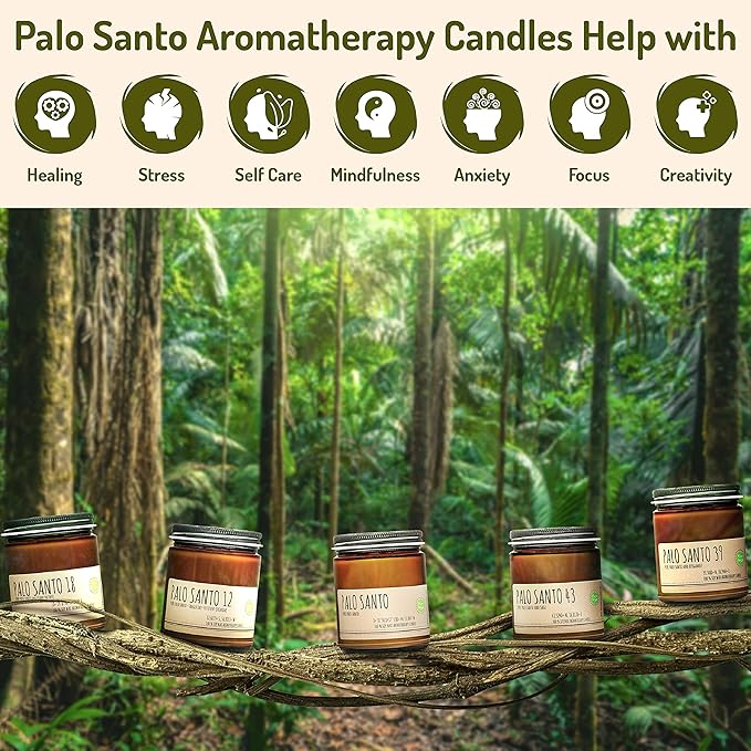 Raw Genuine Palo Santo Essential Oil from Ecuador Aromatherapy Candle 9oz Handcrafted in USA with Natural Soy Wax for Purification & Cleansing Free Palo Santo Stick Included