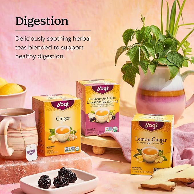 Yogi Tea Mango Ginger Tea - 16 Tea Bags per Pack (6 Packs) - Organic Ginger Root Tea to Support Healthy Digestion - Contains Antioxidants - Includes Cinnamon Bark, Rooibos Leaf, Mango Flavor & More