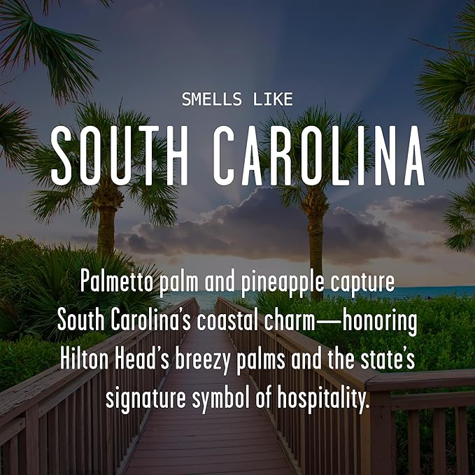 South Carolina Gifts, South Carolina Decor for Home - 'There's No Place Like South Carolina Candle, w/Palmetto Palm & Pineapple I South Carolina Souvenirs State Gifts I 9oz Jar, 50Hr Burn, USA Made