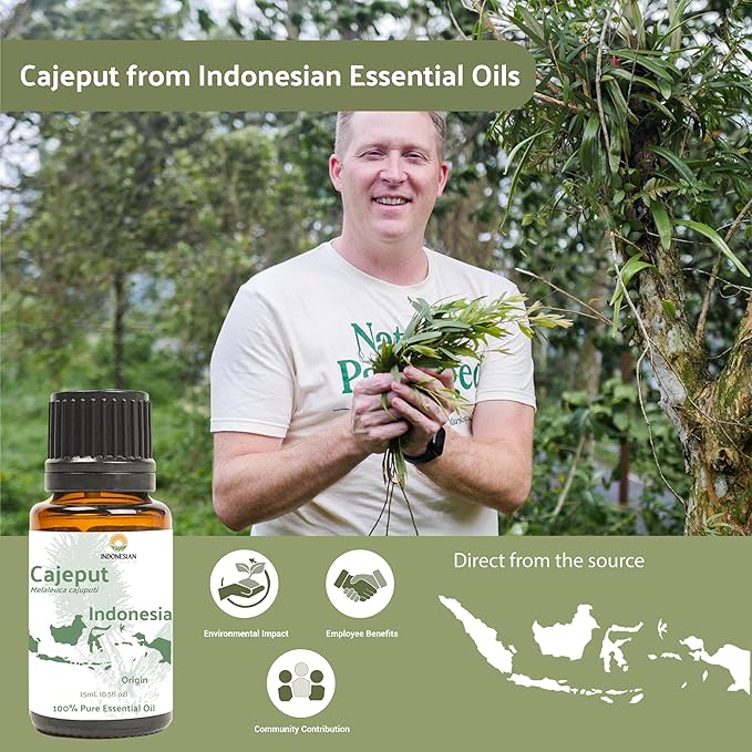 Cajeput Essential Oil (22lbs) - Direct from Central Java, Indonesia - Essential Oils for Diffusers Aromatherapy; Essential Oils for Body; Massage Oils | 100% Pure Therapeutic Grade