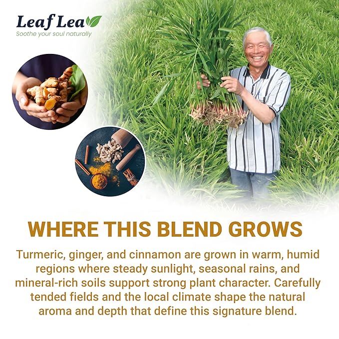 LeafLea 160 Ginger Turmeric Tea Bags, 100% Natural & Pure Herbal Tea Blend of Turmeric Ginger Tea with Cinnamon, Turmeric Tea Supports Digestion & Immunity, Caffeine-Free, No Sugar, Non-GMO