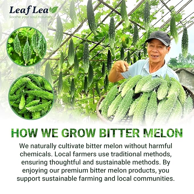 LeafLea 120 Bitter Melon Tea Bags, 100% Pure Bitter Melon Fruit. Supports Wellness and Digestion | Caffeine-Free, Sugar-Free, Vegan, Pack of 3