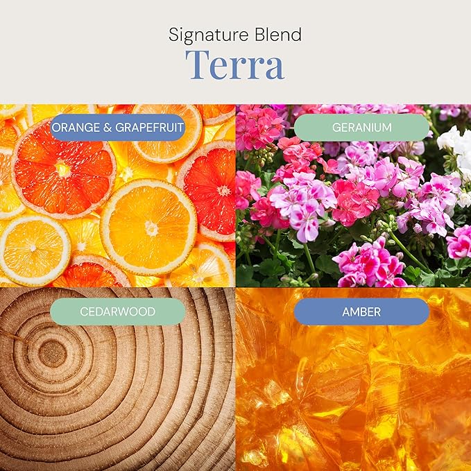 Terra Aroma Oil, Essential Oils Blend for Diffusers & Scent Machines, Upscale Wood & Amber with Citrus Accents, Aromatherapy, Cold Air Diffuser Compatible, 300 mL
