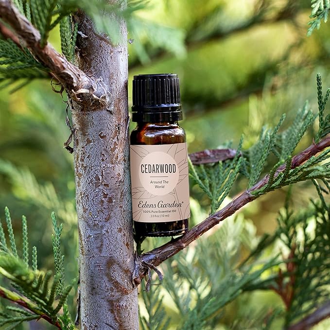 Edens Garden Cedarwood Around The World Essential Oil- 100% Pure Premium Grade, Undiluted, Natural, Therapeutic, Aromatherapy, The Best for Diffuser, Skin, Face, Hair 30 ml (1 fl oz)