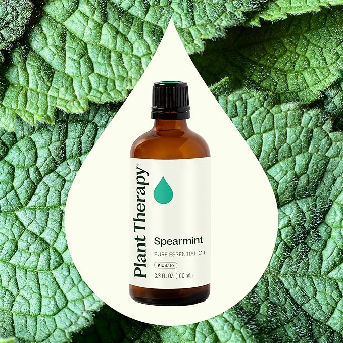 Plant Therapy Spearmint Essential Oil 100 mL (3.3 oz) 100% Pure, Undiluted, Therapeutic Grade