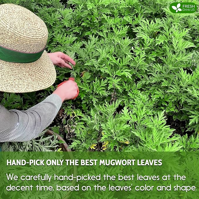 FreshDrinkUS, Premium 90 Mugwort Leaf Tea Bags, 100% Natural and Pure Mugwort Leaves. No Sugar, No Caffeine, No Gluten, Vegan.