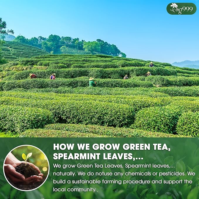 TOG999, Premium Matcha Green Tea Bags | 120 Count | Blend of Sencha, Green Tea, Spearmint & Orange Slices – Refreshing Flavor, Naturally Vibrant, No Gluten. Vegan.