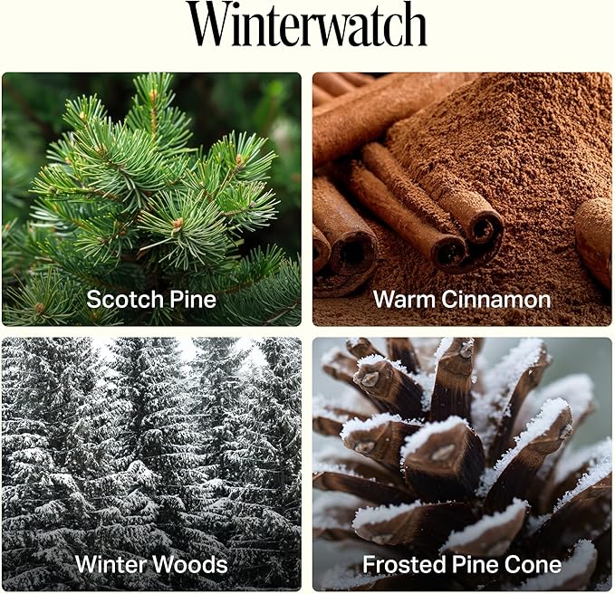 Preston Lane Luxury 3-Wick Scented Candle, Winterwatch, 24 oz Hand-Poured in USA | Long Burn Time (40–50 Hrs), Vegan Soy Wax Blend, Decorative Ceramic Vessel, Fine Italian Fragrance