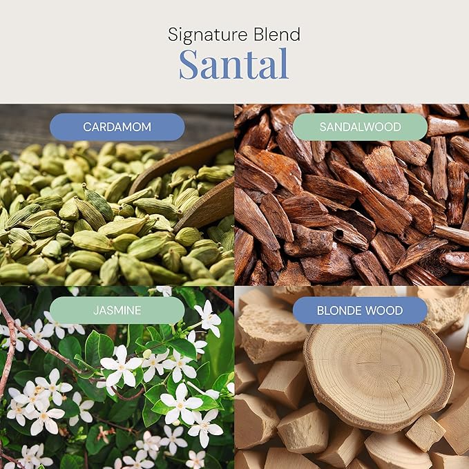 Santal Aroma Oil, Essential Oils Blend for Diffusers & Scent Machines, Sensual Sandalwood & Cardamom, Aromatherapy, Cold Air Diffuser Compatible, 100 mL