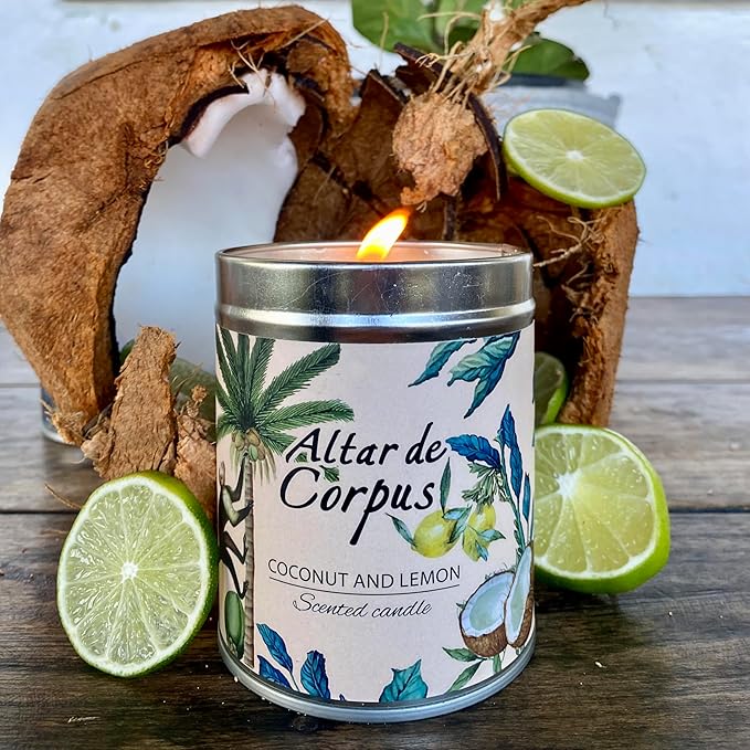 14 Oz Strong Scented Candles Long Lasting – Coconut Lemon Candle - High End Luxury Candles for Home - Cute Candles for Women - Soy Wax Premium Blend - Decorative Candle for Men Gifts