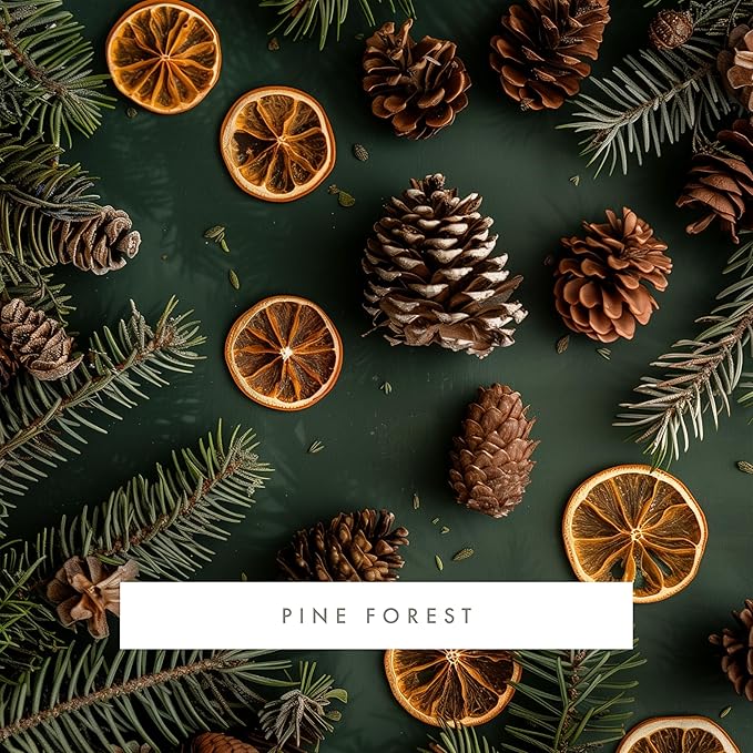 ScentAir Whisper Home Monthly Plug-in Refill, Fragrance Cartridge for Home and Office, Pine Forest