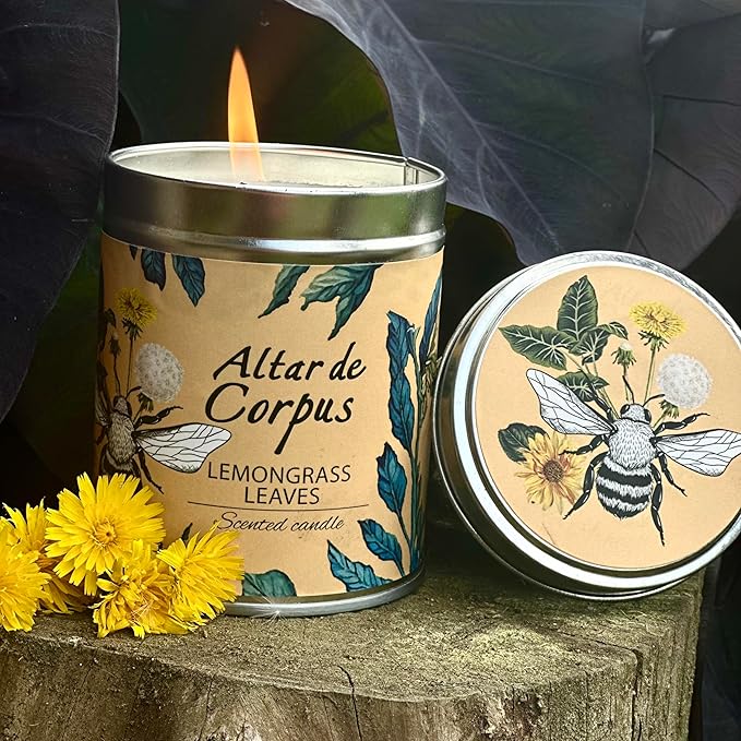 14 Oz Strong Scented Candles Long Lasting – Lemongrass Candle - High End Luxury Candles for Home - Cute Candles for Women - Soy Wax Premium Blend - Decorative Candle for Men Gifts