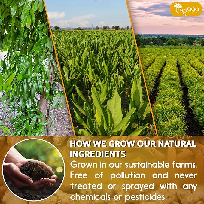 TOG999, 30 Bags Premium Turmeric Ginger Cinnamon Tea, Improve Digestion, Support Brain, Weight, Skin and Sleep, Eco-Conscious Tea Bags and Premium Natural Ingredients. Turmeric Ginger Herbal Tea. No Sugar, No Caffeine, No Gluten, Vegan.