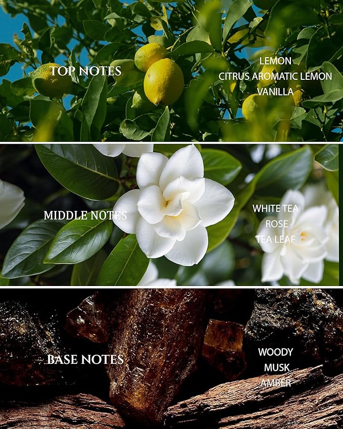 Aromadd White Tea Diffuser Oil Inspired by Luxury Hotel Scent, Essential Oils for Waterless Diffuser, White Tea & Bergamot, Long-Lasting & Natural Home Fragrance - 6.76 fl oz (200 mL)