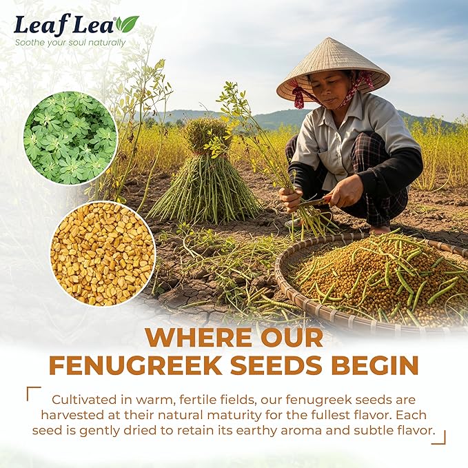 LeafLea 80 Premium Fenugreek Tea Bags, Natural Fenugreek Seed for Toasty Flavor & Sweet Aroma, Fenogreco Tea with Gentle Warmth, Caffeine-Free, Sugar-Free, Vegan, Individually Wrapped for Freshness