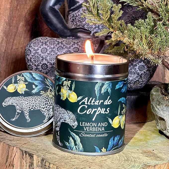 14 Oz Strong Scented Candles Long Lasting – Lemon Verbena Candle - High End Luxury Candles for Home - Cute Candles for Women - Soy Wax Premium Blend - Decorative Candle for Men Gifts