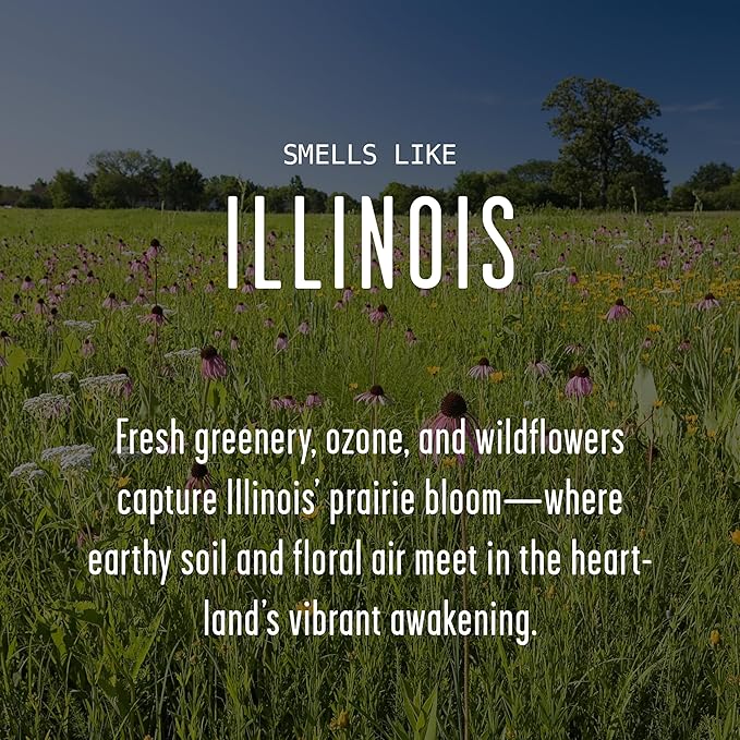 Illinois Gifts, Illinois Decor for Home - 'There's No Place Like Illinois Candle, w/Greenery, Ozone & Wildflowers I Illinois Souvenirs I Illinois State Gifts I 9oz Jar, 50Hr Burn, USA Made