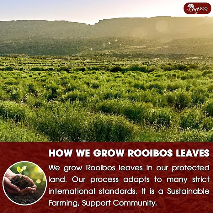 TOG999, 135 Premium Red Rooibos Tea Bags, 100% Natural & Pure from Rooibos Tea Leaves. Loose Leaf Rooibos Herbal Tea. Made with Natural Material Tea Bags. No Sugar, No Caffeine, No Gluten, Vegan.