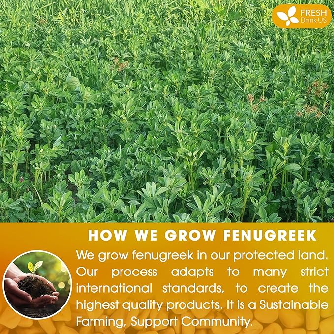 FreshDrinkUS, Premium 75 Fenugreek Tea Bags, 100% Natural & Pure from Fenugreek. Fenugreek Herbal Tea. Made with Natural Material Tea Bags. No Sugar, No Caffeine, No Gluten, Vegan.