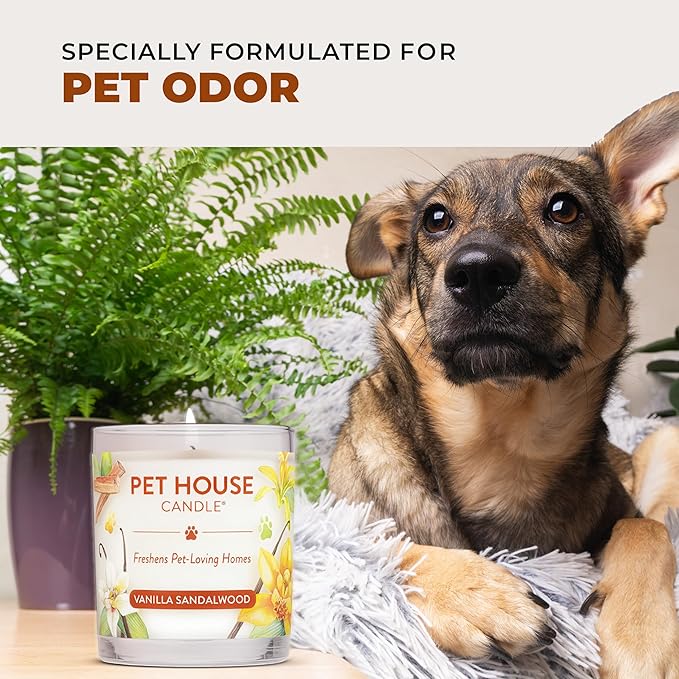 One Fur All Pet House Fall Candles, Long Lasting, Clean Burning, Soy Wax Scented Candles for Pet Odor, Pumpkin Spice, 2 Pack