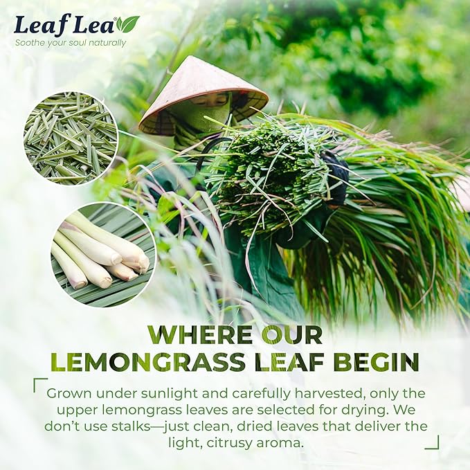 LeafLea Lemongrass Tea Bags, 40 Count, 100% Natural Lemongrass Leaves, Te Limon Grass, Te de Limoncillo Herbal Tea with Smooth Light Aroma, Sugar-Free, Caffeine-Free, Non-GMO, Vegan Friendly