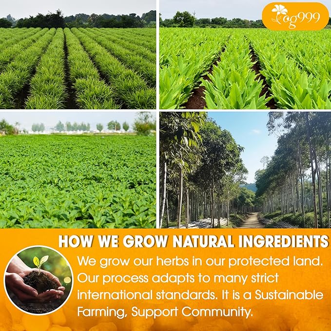 TOG999, 12oz/200 cups Anti-Inflammaheb Loose Leaf Tea | 100% Natural Blend of Ginger, Turmeric, Peppermint, Black Pepper & Cinnamon | Caffeine-Free, Sugar-Free, Gluten-Free, Vegan, Handcrafted