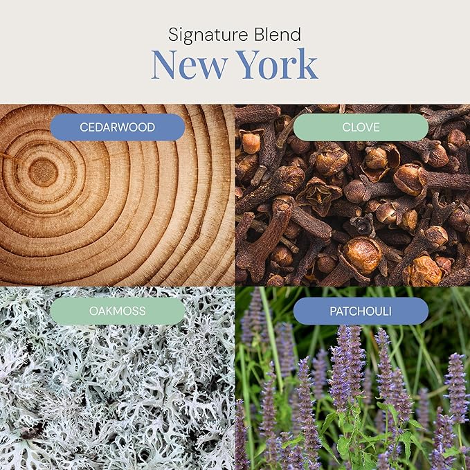 New York Aroma Oil, Essential Oils Blend for Diffusers & Scent Machines, Elegant Cedarwood & Spicy Clove, Aromatherapy, Cold Air Diffuser Compatible, 300 mL