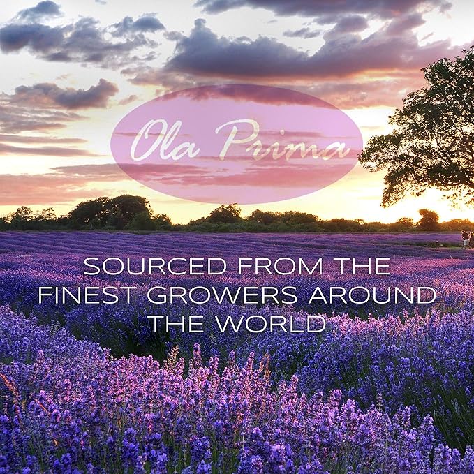 Ola Prima Ginger Essential Oil Therapeutic Grade for Aromatherapy, Diffuser, Lymphatic Massage, Hair, Skin – 4 fl oz Dropper